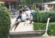 Jument 7 ans polyvalente 