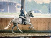 Jument 7 ans polyvalente 