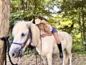 Gelding No Origin Recorded For sale 2018 White