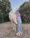 Gelding No Origin Recorded For sale 2018 White