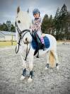 Gelding No Origin Recorded For sale 2018 White