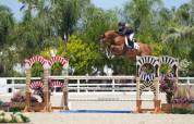 Hongre 6 ans CSO 