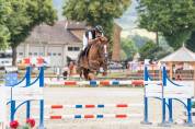 Hongre 6 ans CSO 