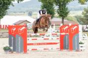 Hongre 6 ans CSO 