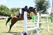 Jument CSO 125