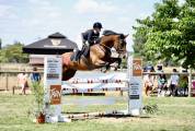 Jument CSO 125