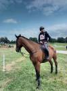 Pension pour chevaux - Domaine de la Potelière - Bottereaux (27)