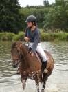 Pension pour chevaux - Domaine de la Potelière - Bottereaux (27)