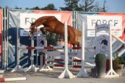 Ponette C a louer 
