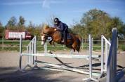 Ponette C a louer 