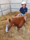 Ponette C a louer 