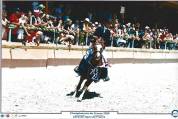 Ponette C a louer 