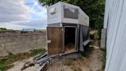 Van 2 chevaux Westfalia