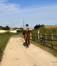 AV 2000 € PUR SANG ANGLAIS 