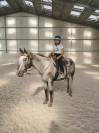 Jument Appaloosa PP 