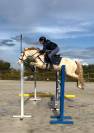 ENTIER CONNEMARA 7ANS