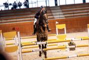 Caballo salto de obstáculos 