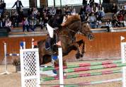 Caballo salto de obstáculos 