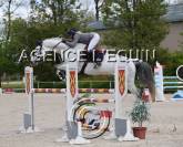 Ladino 9ans à vendre 
