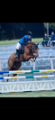 Poney gros potentiel