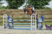 Poney gros potentiel