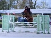 Poney gros potentiel