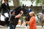 JANGO NP - PRE Pure Spanish Bred 2019 by INTIMO SALVATELLA