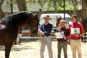 JANGO NP - PRE Pure Spanish Bred 2019 by INTIMO SALVATELLA