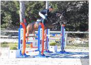 Location cheval CSO