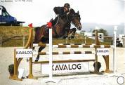 Location cheval CSO