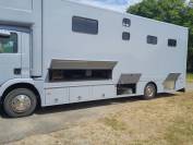 Camion MAN transport de 4 grands chevaux avec home-car