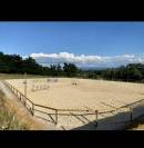 Pension chevaux et poneys 