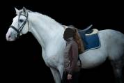 Caballo entero PRE Pura Raza Española En venta 2014 Tordo por REGANON-LP