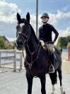 ✨ CHEVAL D’ÉCOLE À VENDRE