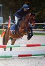 New Forrest - Jument, 5 ans