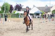New Forrest - Jument, 5 ans