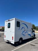 Camion VL pour chevaux Theault Firsteo 30 000km