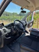 Camion VL pour chevaux Theault Firsteo 30 000km