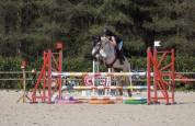 Poney à vendre 