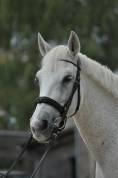 PONETTE D pour Loisir ou famille 