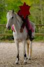 PONETTE D pour Loisir ou famille 