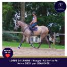 4 ans mental en or 1m76 env