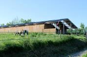 Pension box / paddock 