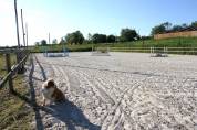 Pension box / paddock 