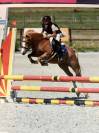 Ponette welsh A