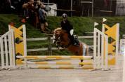 Ponette welsh A