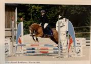 Ponette welsh A