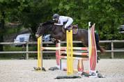 Poney à vendre 