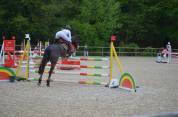 Poney à vendre 