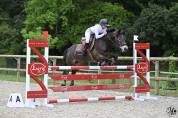 Poney à vendre 